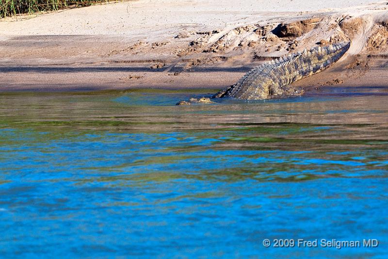 20090608_170428 D300 X1.jpg - Crocodile, Kunene Region, Namibia